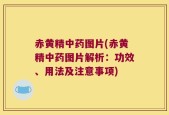 赤黄精中药图片(赤黄精中药图片解析：功效、用法及注意事项)