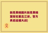 新晃黄精图片新晃黄精案疑犯重出江湖，警方再启追捕大战)
