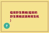 临安野生黄精(临安的野生黄精资源再现生机)