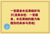 一觉醒来木瓜黄精彩句子(清晨亦愁：一觉醒来，木瓜黄精的魔力唤醒你的身体与灵魂)