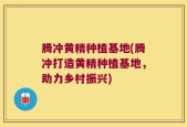 腾冲黄精种植基地(腾冲打造黄精种植基地，助力乡村振兴)