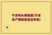 宁波鸡头黄精苗(宁波生产黄精苗喜迎丰收)