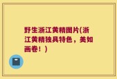 野生浙江黄精图片(浙江黄精独具特色，美如画卷！)