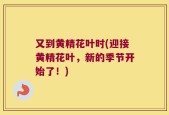 又到黄精花叶时(迎接黄精花叶，新的季节开始了！)