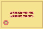 山黄精怎样种植(种植山黄精的方法及技巧)