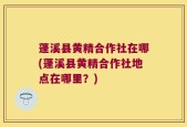 蓬溪县黄精合作社在哪(蓬溪县黄精合作社地点在哪里？)