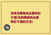 怎样泡黄精肉丛蓉枸杞子酒(泡制黄精肉丛蓉枸杞子酒的方法)