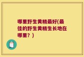 哪里野生黄精最好(最佳的野生黄精生长地在哪里？)