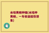 水培黄精种植(水培种黄精，一年收益超你想象)