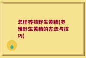 怎样养殖野生黄精(养殖野生黄精的方法与技巧)