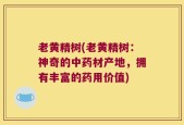 老黄精树(老黄精树：神奇的中药材产地，拥有丰富的药用价值)