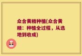众合黄精种植(众合黄精：种植全过程，从选地到收成)