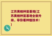 江苏黄精种苗基地(江苏黄精种苗基地全新升级，带你看种植技术！)