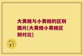 大黄精与小黄精的区别图片(大黄精小黄精区别对比)