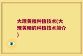 大理黄精种植技术(大理黄精的种植技术简介)