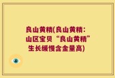 良山黄精(良山黄精：山区宝贝“良山黄精” 生长缓慢含金量高)