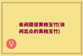 田间霸道黄精玉竹(田间出众的黄精玉竹)