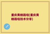 重庆黄精栽培(重庆黄精栽培技术分享)
