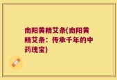 南阳黄精艾条(南阳黄精艾条：传承千年的中药瑰宝)
