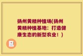 扬州黄精种植场(扬州黄精种植基地：打造健康生态的新型农业！)
