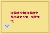 山黄精长虫(山黄精中发现罕见长虫，引发关注)