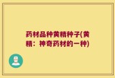 药材品种黄精种子(黄精：神奇药材的一种)