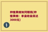 种植黄精如何赚钱(种植黄精：单亩收益高达3000元)