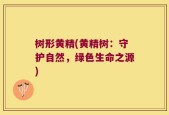 树形黄精(黄精树：守护自然，绿色生命之源)
