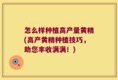 怎么样种植高产量黄精(高产黄精种植技巧，助您丰收满满！)