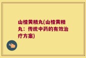 山楂黄精丸(山楂黄精丸：传统中药的有效治疗方案)