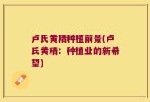 卢氏黄精种植前景(卢氏黄精：种植业的新希望)