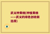 武义种黄精(种植黄精——武义的绿色创收新选择)