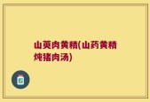 山萸肉黄精(山药黄精炖猪肉汤)