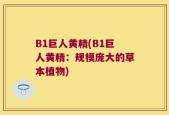 B1巨人黄精(B1巨人黄精：规模庞大的草本植物)