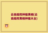 云南庭院种植黄精(云南庭院黄精种植大全)