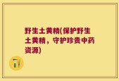 野生土黄精(保护野生土黄精，守护珍贵中药资源)