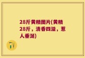 28斤黄精图片(黄精28斤，清香四溢，惹人垂涎)