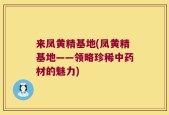 来凤黄精基地(凤黄精基地——领略珍稀中药材的魅力)