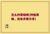 怎么种黄精呢(种植黄精，具体步骤分享)