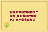 在北方黄精如何种植产量高(北方黄精种植技巧：高产量实现秘诀)