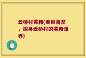 云桥村黄精(重返自然，探寻云桥村的黄精世界)
