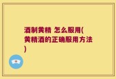 酒制黄精 怎么服用(黄精酒的正确服用方法)