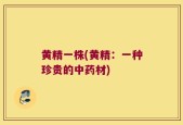黄精一株(黄精：一种珍贵的中药材)
