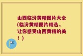 山西临汾黄精图片大全(临汾黄精图片精选，让你感受山西黄精的美！)