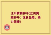 江川黄精种子(江川黄精种子：优良品质，助力健康)