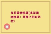 多花黄精根茎(多花黄精根茎：草原上的好药材)
