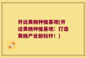 开远黄精种植基地(开远黄精种植基地：打造黄精产业新标杆！)