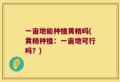 一亩地能种植黄精吗(黄精种植：一亩地可行吗？)