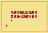 地黄精苗批发(地黄精苗批发-优质苗木直供)