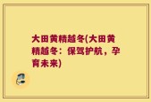 大田黄精越冬(大田黄精越冬：保驾护航，孕育未来)